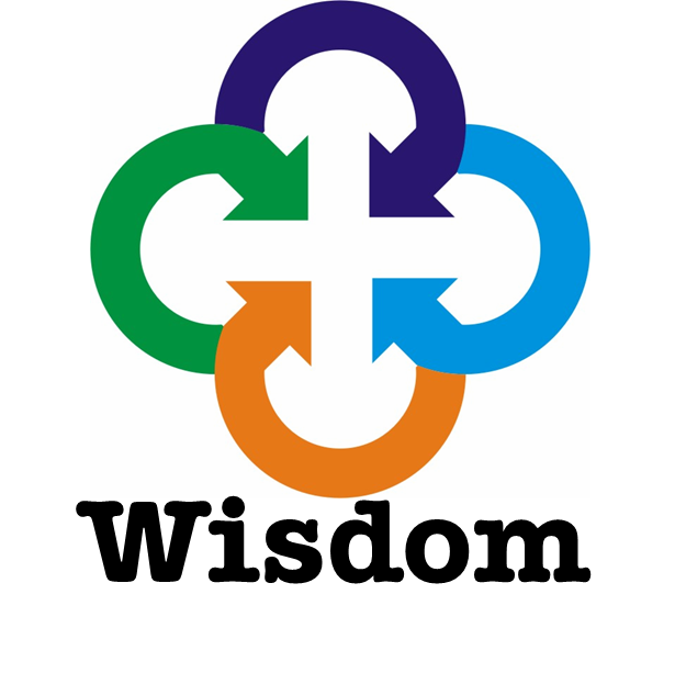 Wisdom Technologies Pvt Ltd